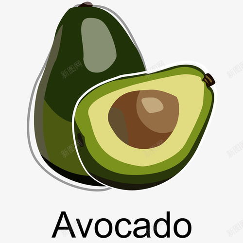 進(jìn)口牛油果手繪插畫矢量圖高清素材 平面 設(shè)計圖片 頁面網(wǎng)頁 平面電商 創(chuàng)意素材 png素材 綠色食品素材